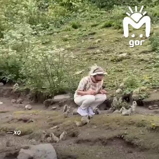 Опасные фото: Почему не стоит кормить диких сусликов на Джилы-Су