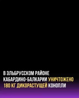 В Кабардино-Балкарии уничтожили 180 кг дикорастущей конопли в ходе операции «Мак-2026»